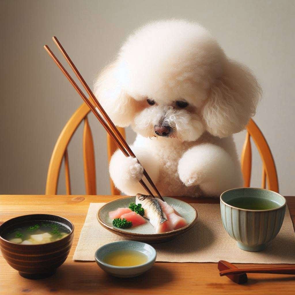 poodle eating raw fish