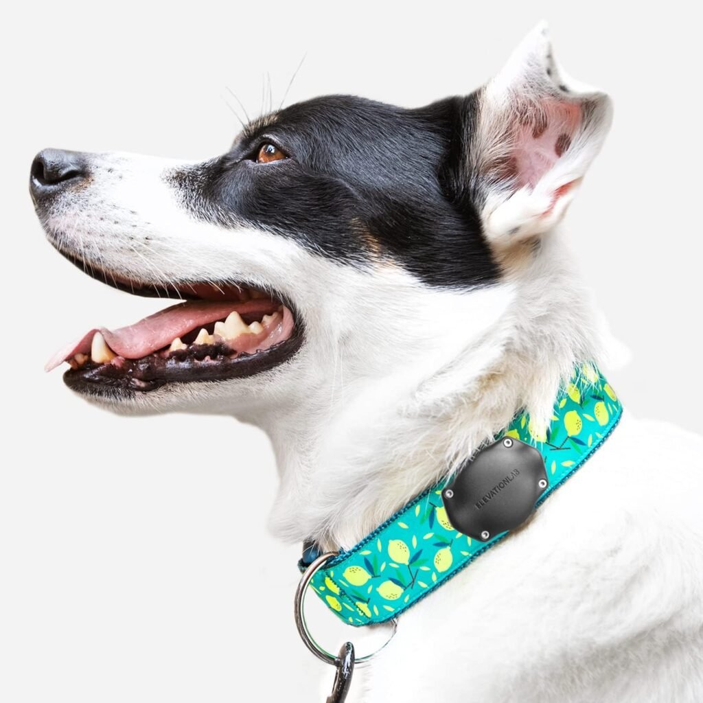 Elevation Lab Air Tag Dog Collar Mount